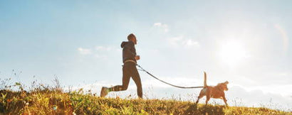 Don't Miss Out On A Sunny Run Because You're Too Sore